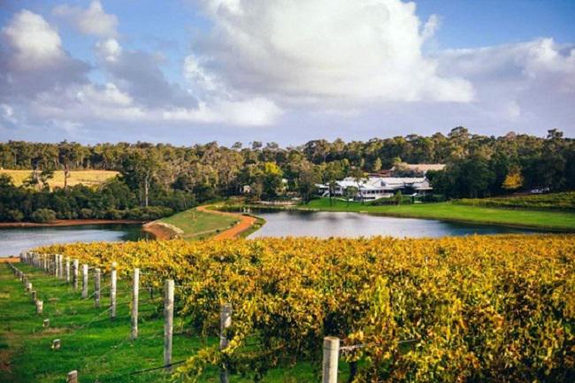 Điểm danh những chai rượu vang Úc tuyệt hảo nhất thế giới