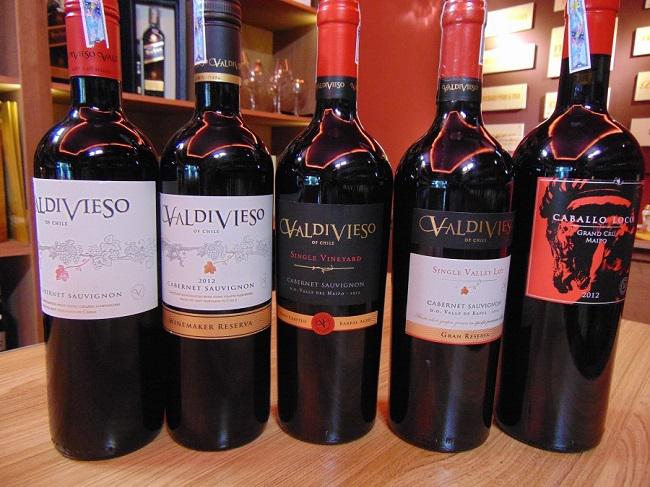 Bỏ túi mẹo chọn rượu vang Chile tại Nghệ An đúng chuẩn