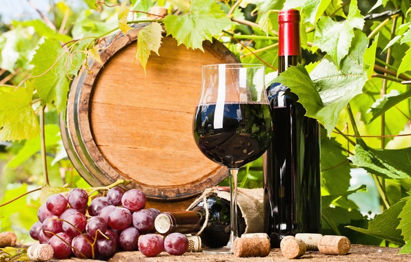 Rượu vang ngon cần đáp ứng những tiêu chí gì?