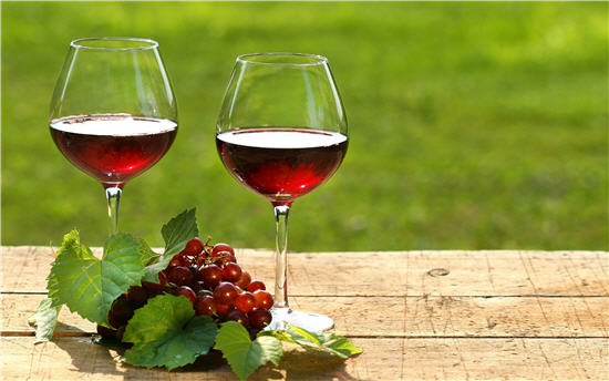 Vòng đời của rượu vang 