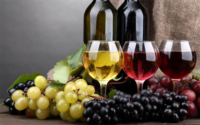 4 yếu tố quyết định chất lượng rượu vang tại Nghệ An