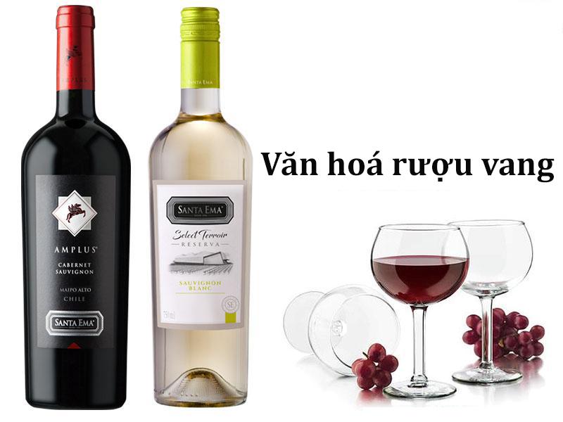 Văn hoá rượu vang bạn nhất định phải biết